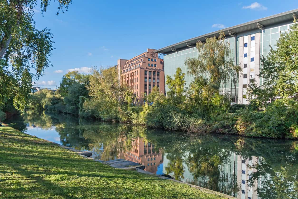 Whitecliffe University of Applied Sciences